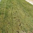 Photo #4: Desmond's Lawnwork's/AERATION