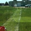 Photo #4: Pasture Mowing / rough cut mowing, brush hog