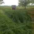 Photo #5: Pasture Mowing / rough cut mowing, brush hog