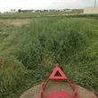 Photo #6: Pasture Mowing / rough cut mowing, brush hog