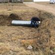 Photo #1: Get your dirt or gravel driveway fixed erosion control skid steer work