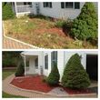 Photo #4: All Your Affordable Landscaping Needs---Licensed and Insured