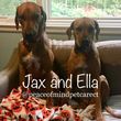 Photo #6: PEACE OF MIND PET CARE: DOG WALKER + BOARDING + DAYCARE SITTER INSURED