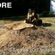 Photo #1: Low Cost Stump Grinding
