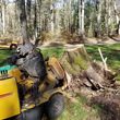 Photo #6: Low Cost Stump Grinding