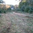 Photo #2: feald/patchier mowing,brush clearing.wood splitting/tree cutting