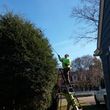 Photo #4: Landscaping ( Fall  Clean-Ups, Leaf Removal, Snow Removal)