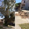Photo #5: TREE TRIMMING & REMOVAL // LANDSCAPING