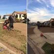 Photo #6: TREE TRIMMING & REMOVAL // LANDSCAPING