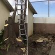 Photo #20: TREE TRIMMING & REMOVAL // LANDSCAPING