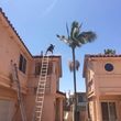Photo #24: TREE TRIMMING & REMOVAL // LANDSCAPING