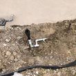 Photo #3: Lawn Sprinkler Repair Service