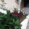 Photo #2: ♣ Panduro Gardening Services