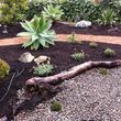 Photo #3: WEEDING-YARDCLEAN-PEBBLES-DG-TREE TRIM- HILLSIDE WEED