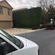 Photo #2: Reynoso tree service ( tree and stump removal)