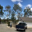 Photo #8: Reynoso tree service ( tree and stump removal)
