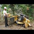 Photo #3: Tree service Family owned ~ Arborist ~Stump grinding  