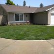 Photo #6: ***SOD***SPRINKLERS***PLANTS***LANDSCAPE and more...
