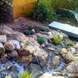 Photo #2: Beautiful Landscapes & Outdoor Living Areas - Waterwise & Custom!