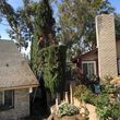 Photo #7: TREE-TRIMMING  Call Now Get A Free Estimate