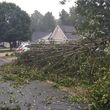 Photo #1: Chainsaw Work/Storm Debris Removal