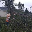 Photo #2: Chainsaw Work/Storm Debris Removal
