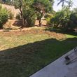 Photo #19: Jardinero gardener comercial y residencial