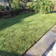 Photo #24: Jardinero gardener comercial y residencial