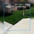 Photo #4: PGL**** Padilla's Gardening & Landscaping **** PGL