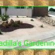 Photo #11: PGL**** Padilla's Gardening & Landscaping **** PGL
