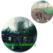 Photo #13: PGL**** Padilla's Gardening & Landscaping **** PGL