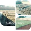 Photo #19: PGL**** Padilla's Gardening & Landscaping **** PGL