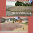 Photo #22: PGL**** Padilla's Gardening & Landscaping **** PGL