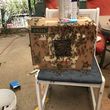 Photo #2: Eco Friendly Bee Hive Removal