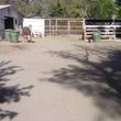 Photo #3: Horse Boarding