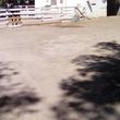 Photo #4: Horse Boarding