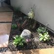 Photo #12: Landscaping & Garden Maintenance
