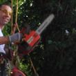 Photo #1: Tree Service handyman just ask I can do a lot of things