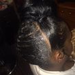 Photo #7: ***** $85.00 WEAVE SPECIAL ***** and more!!!!! LA Area 16 years of exp