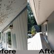 Photo #3: Painting services