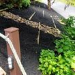 Photo #6: Lily Contracting LLC (Lawn care, mulching, fall clean up, much more)