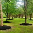Photo #7: Lily Contracting LLC (Lawn care, mulching, fall clean up, much more)
