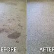 Photo #5: Sultaan Carpet & Sofa Cleaning