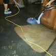 Photo #9: Steam-Pro Carpet Care, Inc.