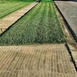 Photo #6: Cutting edge a reliable and professional lawn care