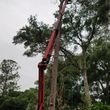 Photo #2: A lift and tree service