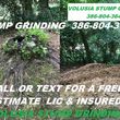 Photo #1: STUMP GRINDING CUTTING ROOT REMOVAL ✅ FREE ESTIMATES LIC & INS
