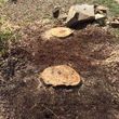 Photo #4: STUMP GRINDING CUTTING ROOT REMOVAL ✅ FREE ESTIMATES LIC & INS
