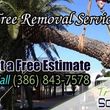 Photo #2: Ormond Beach Tree Removal Service - Volusia County Tree Cutting, prune