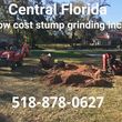Photo #1: STUMP GRINDING,,tree,lawn grading and drainage service